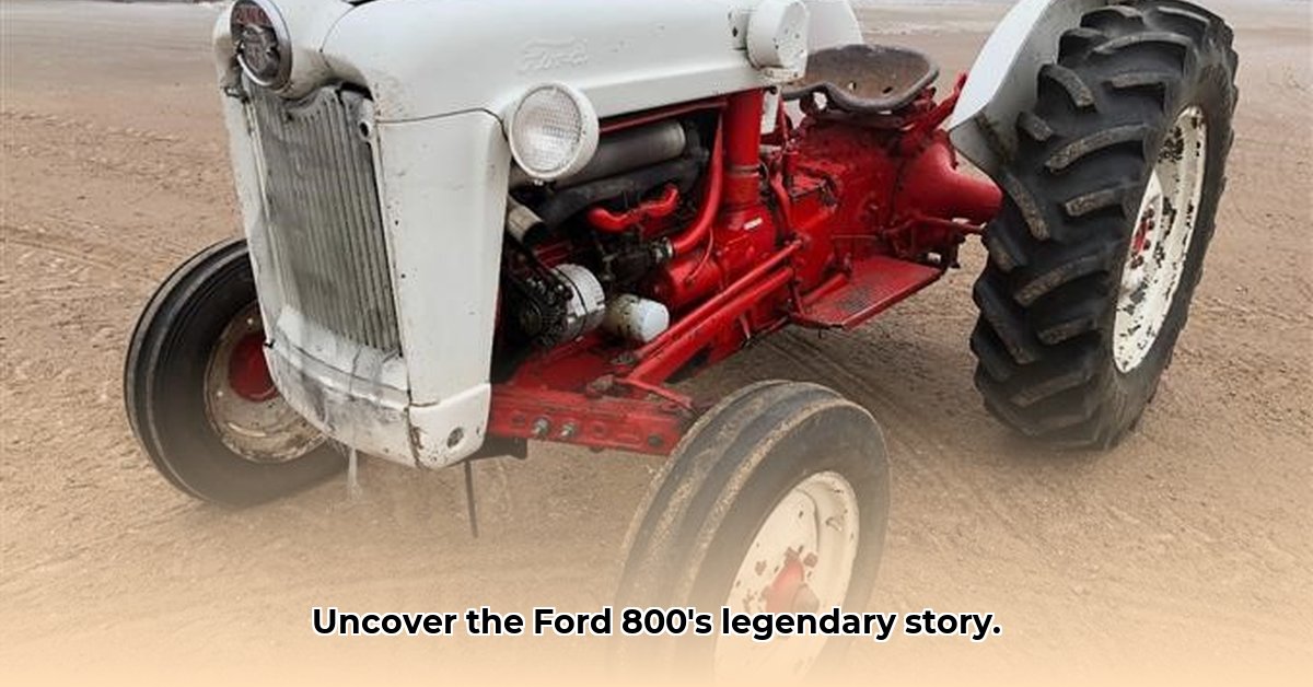 ford-800-tractor